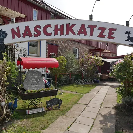 Naschkatze Krummin